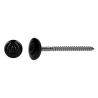 Vis de Rives RAL9005 avec Rondelles Epdm 20mm
